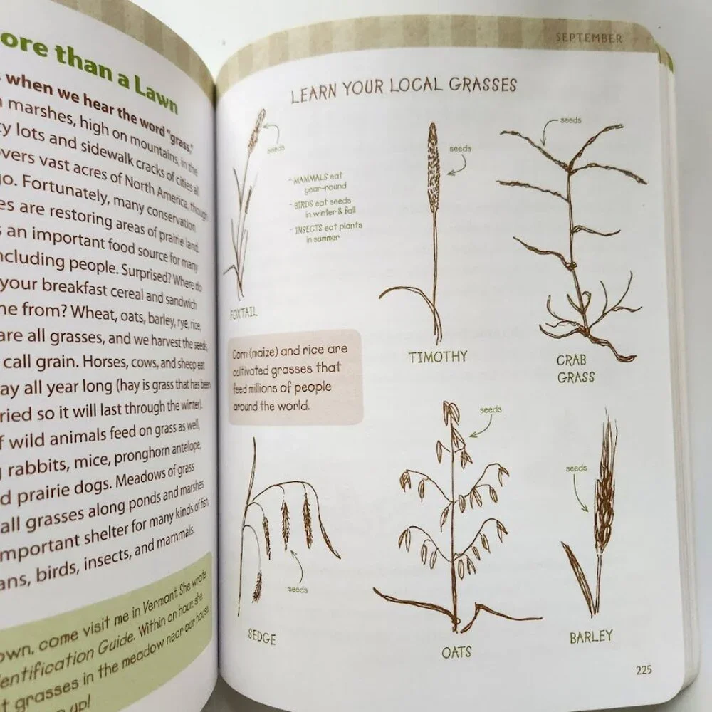 The Nature Connection Outdoor Workbook for Kids, Families, and Classrooms Clare